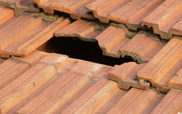 roof repair Haxted, Surrey